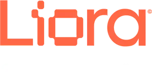Liora — ex DataScientest
